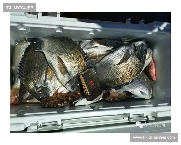 中国澳门回归杯举办权协议于霞浦海钓赛开幕式签署 中国澳门回归杯举办权协议于霞浦海钓赛开幕式签署